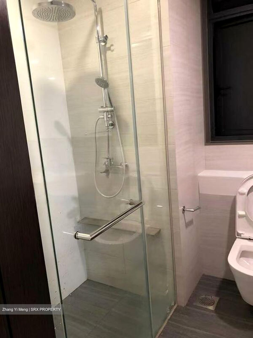 Botanique At Bartley (D19), Condominium #498174011